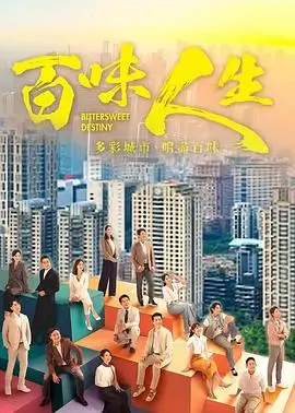 木瓜影视电视剧逆风航班海报